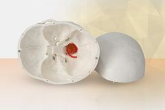 Omurga Kafa Maketi Modeli 20