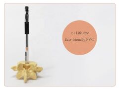 Omur Şeklinde Kalemlik Model 1