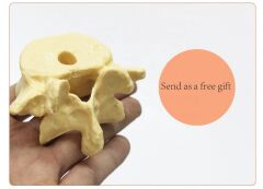 Omur Şeklinde Kalemlik Model 1