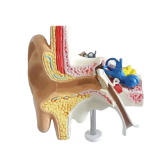 Kulak Maketi Model 49