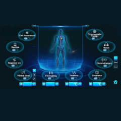 Fizyoterapi & PEMF Terapi Cihazı